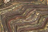 Polished Tiger Iron Stromatolite Slab - Billion Years #221832-1